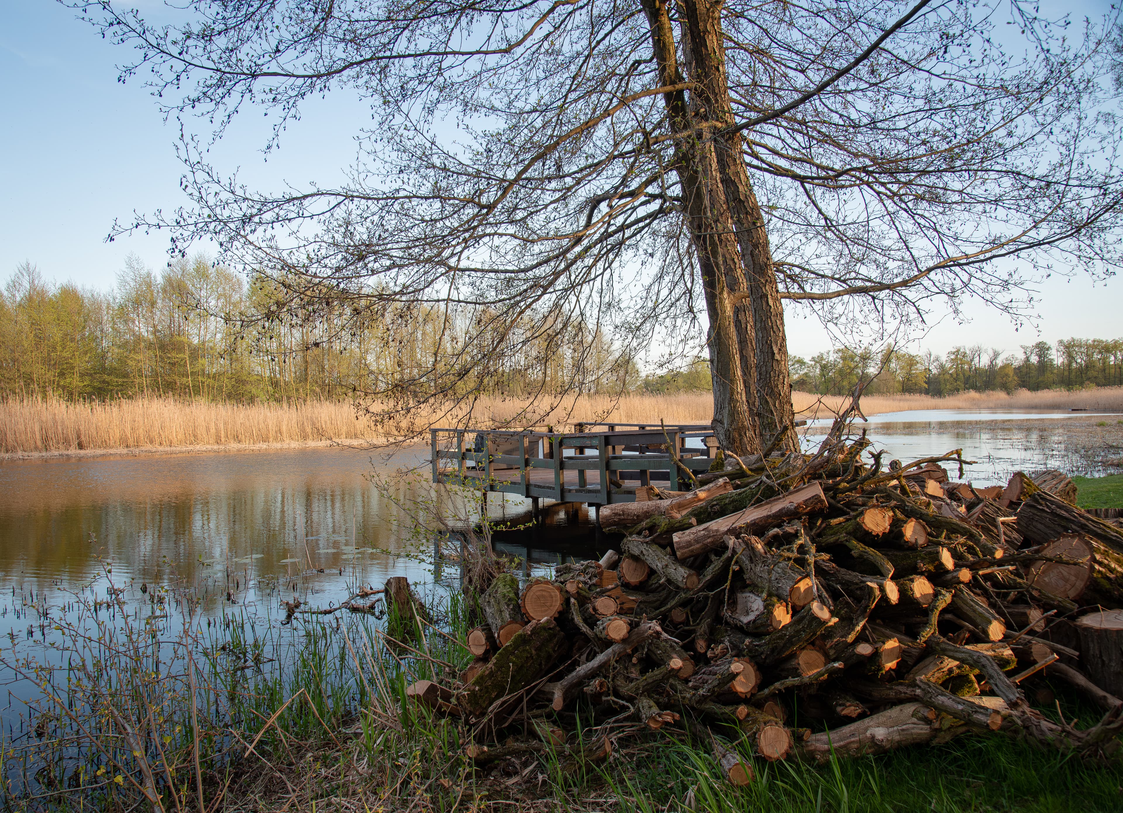 Balia — Dworek Biesiadny strefa relaksu